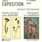 3 expositions d’Art Végétal