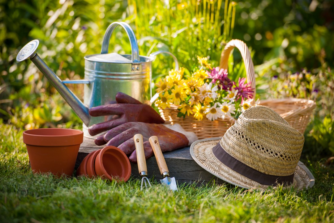 You are currently viewing Jardins communaux: des parcelles sont disponibles