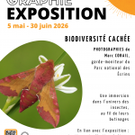 Exposition Biodiversité cachée